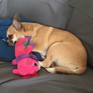 Meet your Posher, Lennise